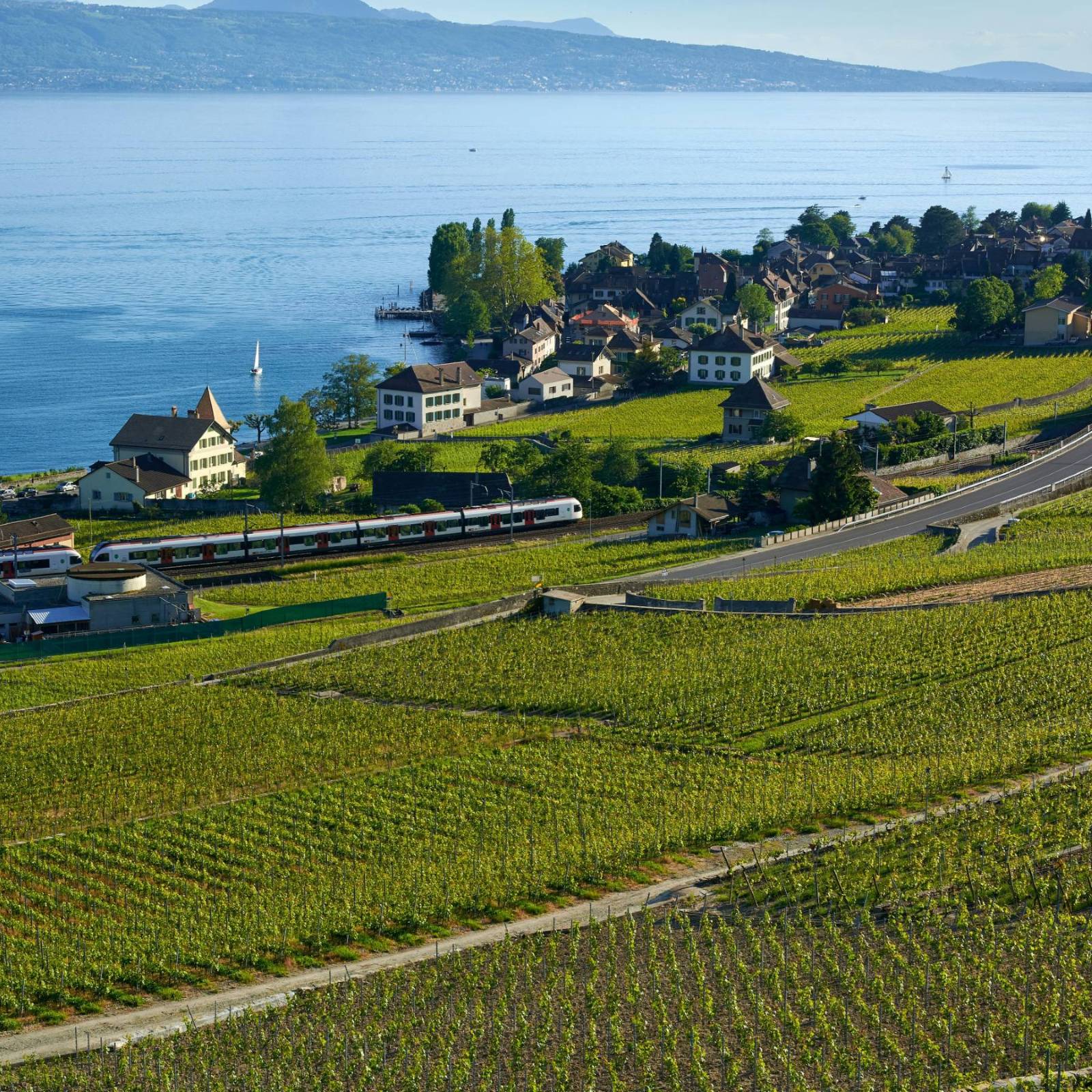 Prep-School Immersive Experience - Ball Academy Geneva Lavaux Riviera