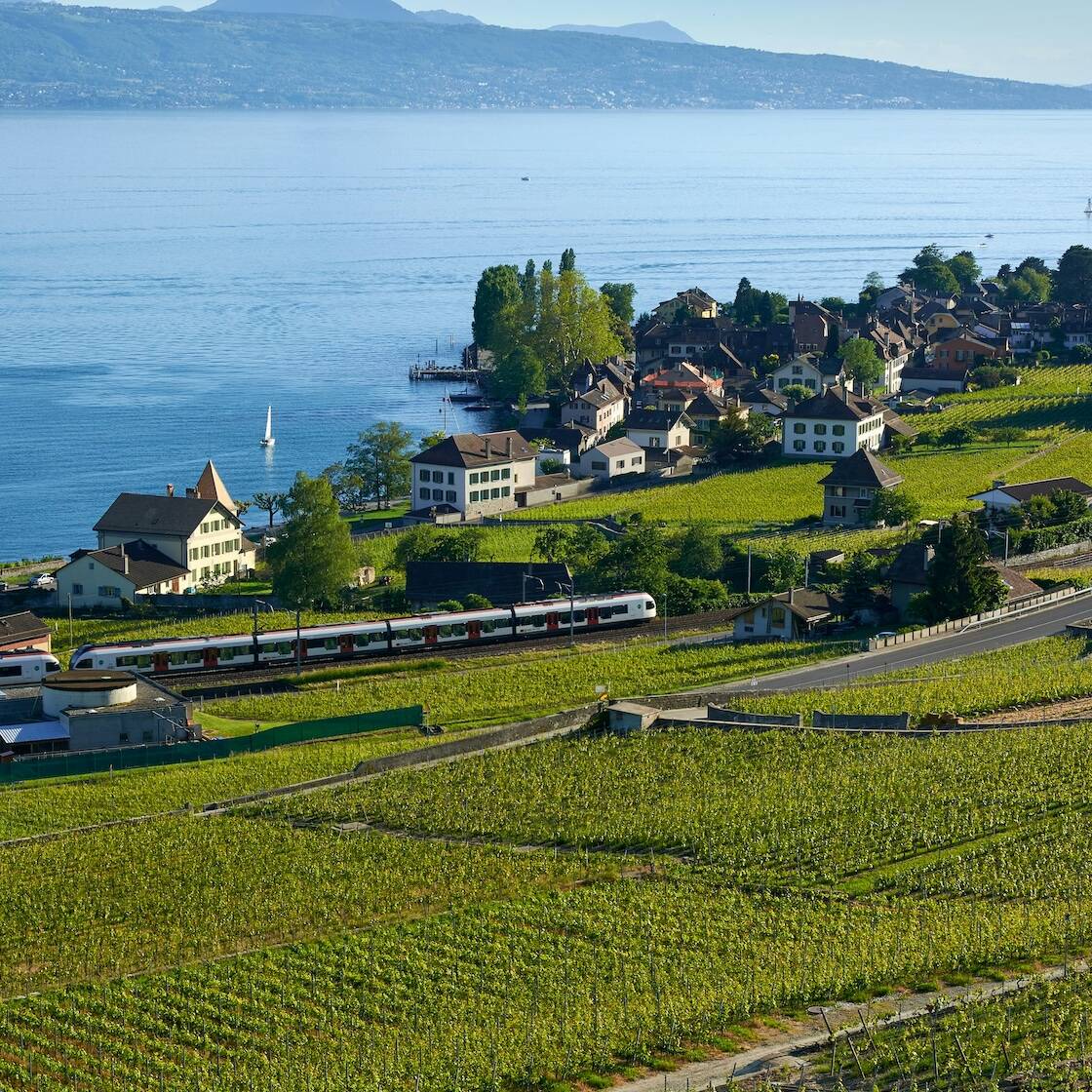View of Cully in the Lavaux
