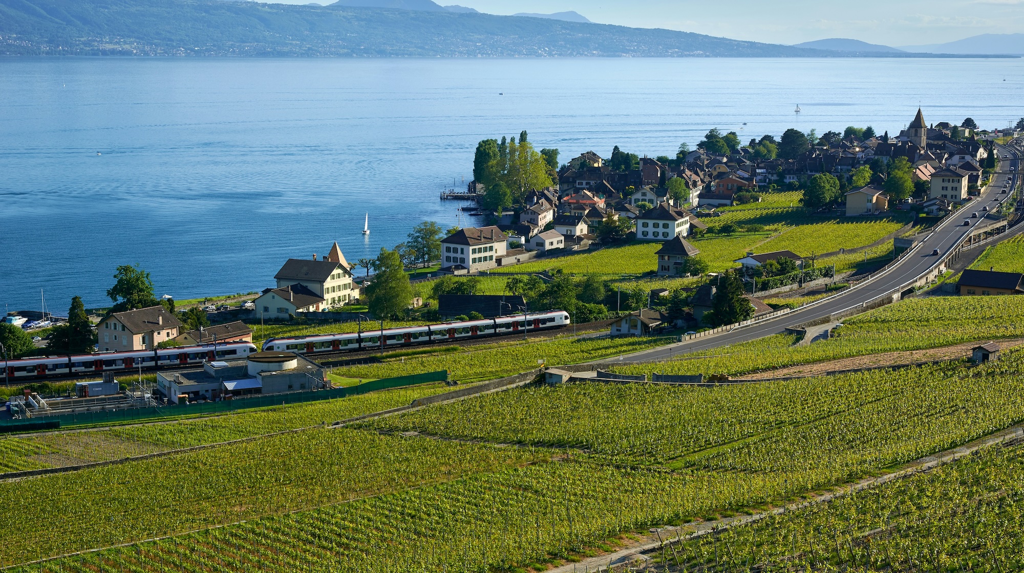 View of Cully in the Lavaux